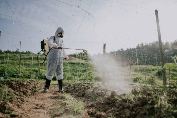 Best Best Pest Control Companies  in Sutherlin, OR