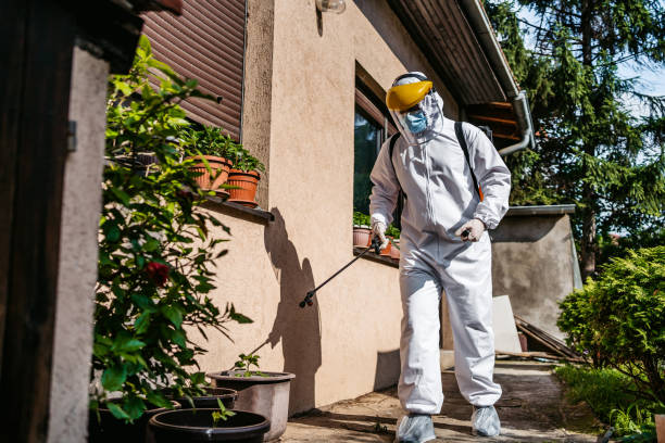 Best Best Pest Control Companies  in Sutherlin, OR