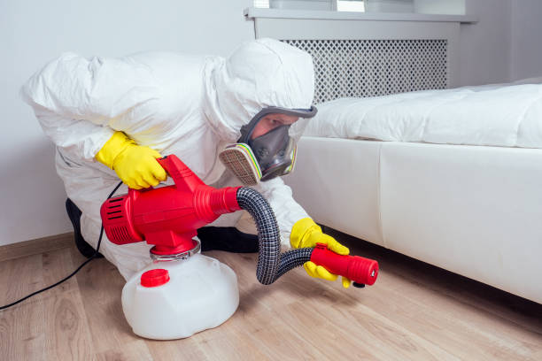 Trusted Sutherlin, OR Pest Control Experts