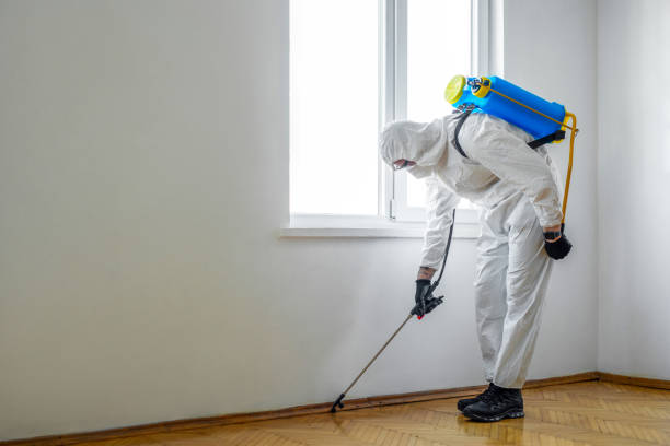 Best Wildlife Control Services  in Sutherlin, OR