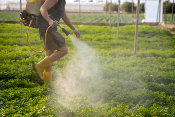 Best Pest Control Near Me  in Sutherlin, OR