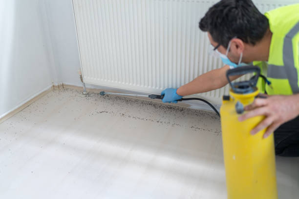 Best Cockroach Control Services  in Sutherlin, OR
