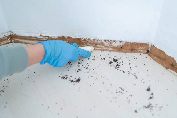 Best Mosquito Control Services  in Sutherlin, OR
