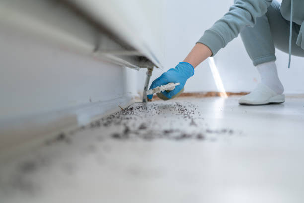 Best Pest Removal Services  in Sutherlin, OR